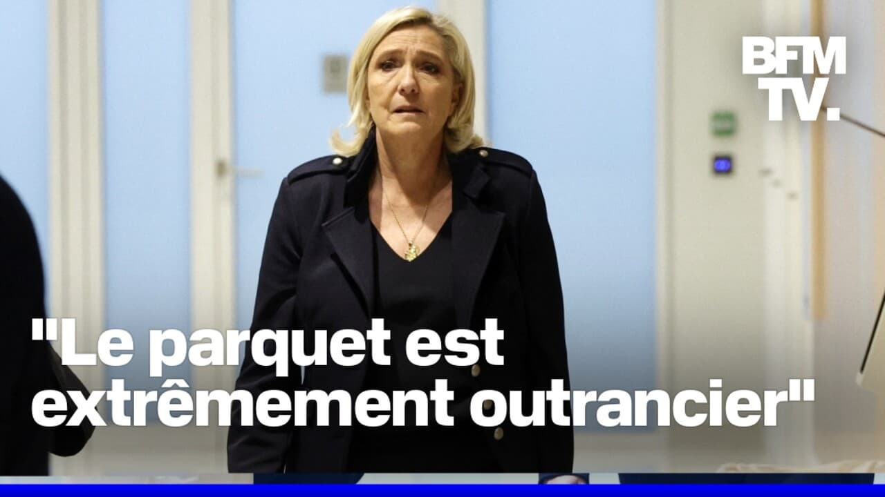 Procès Le Pen:  Appel Après Condamnation À Quatre Ans Et Inéligibilité