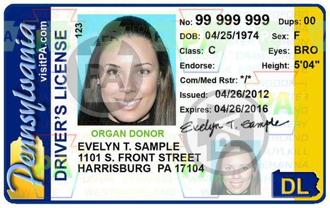 REAL ID Enforcement Begins: How It Affects Your Summer Travel REAL ID Enforcement Begins: How It Affects Your Summer Travel