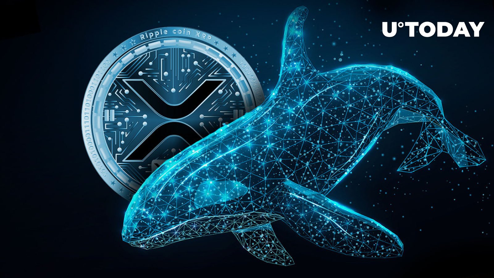 Recent XRP Whale Activity: 20 Million Tokens Acquired - What It Means Recent XRP Whale Activity: 20 Million Tokens Acquired - What It Means