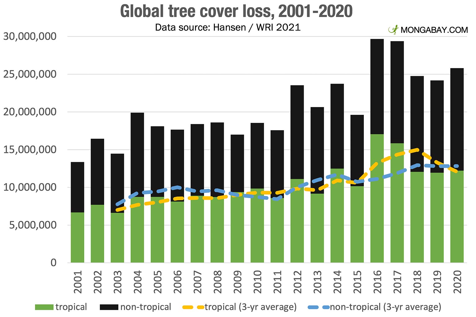 Record-Breaking Forest Loss: Wildfires Intensify Global Deforestation Record-Breaking Forest Loss: Wildfires Intensify Global Deforestation