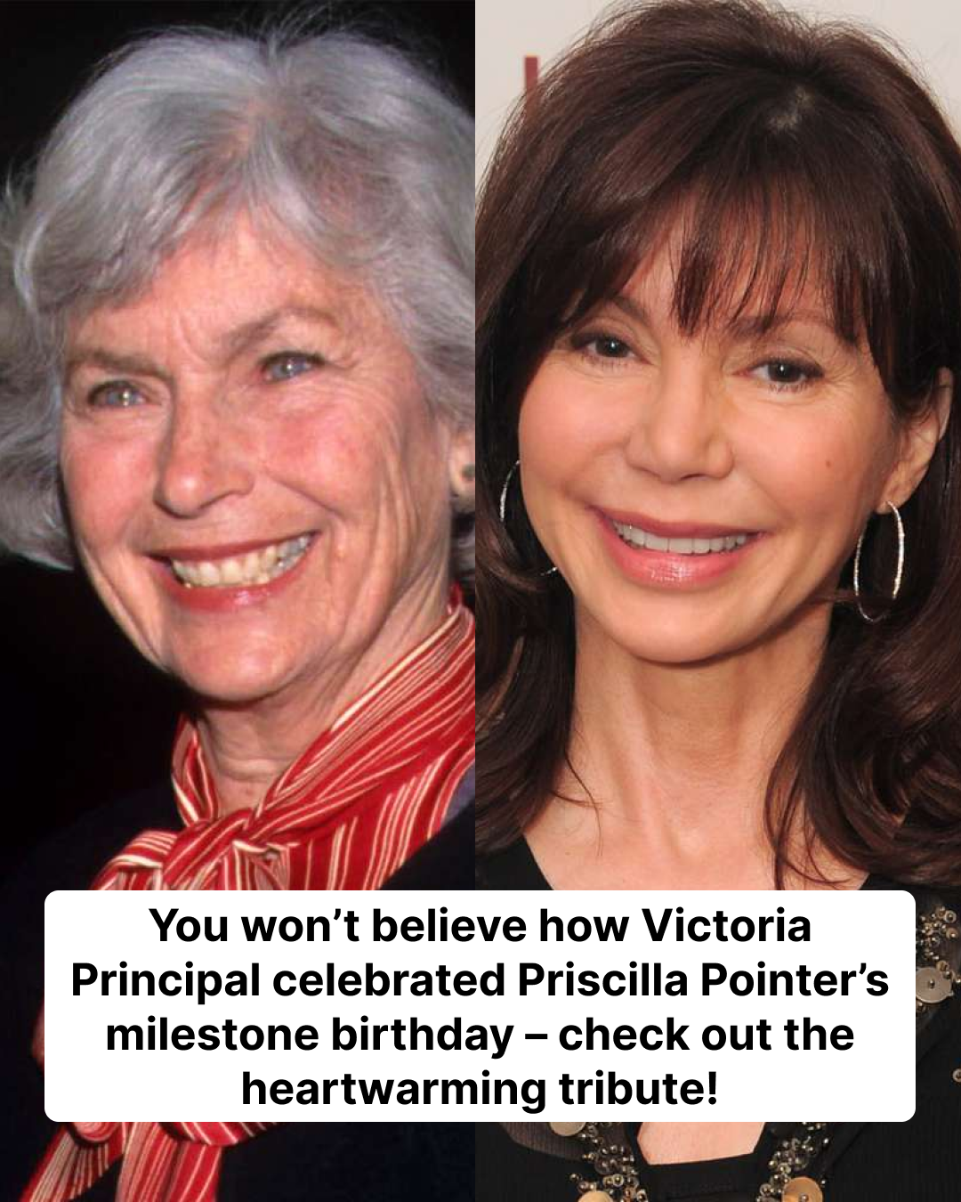 Remembering Priscilla Pointer: Actress Dead At 100 Remembering Priscilla Pointer: Actress Dead At 100