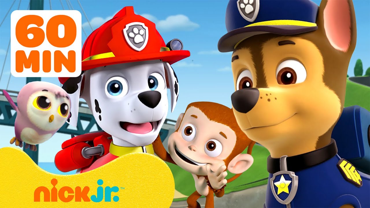 Rescates De Paw Patrol Piratas En YouTube: 15 Minutos En Español Rescates De Paw Patrol Piratas En YouTube: 15 Minutos En Español
