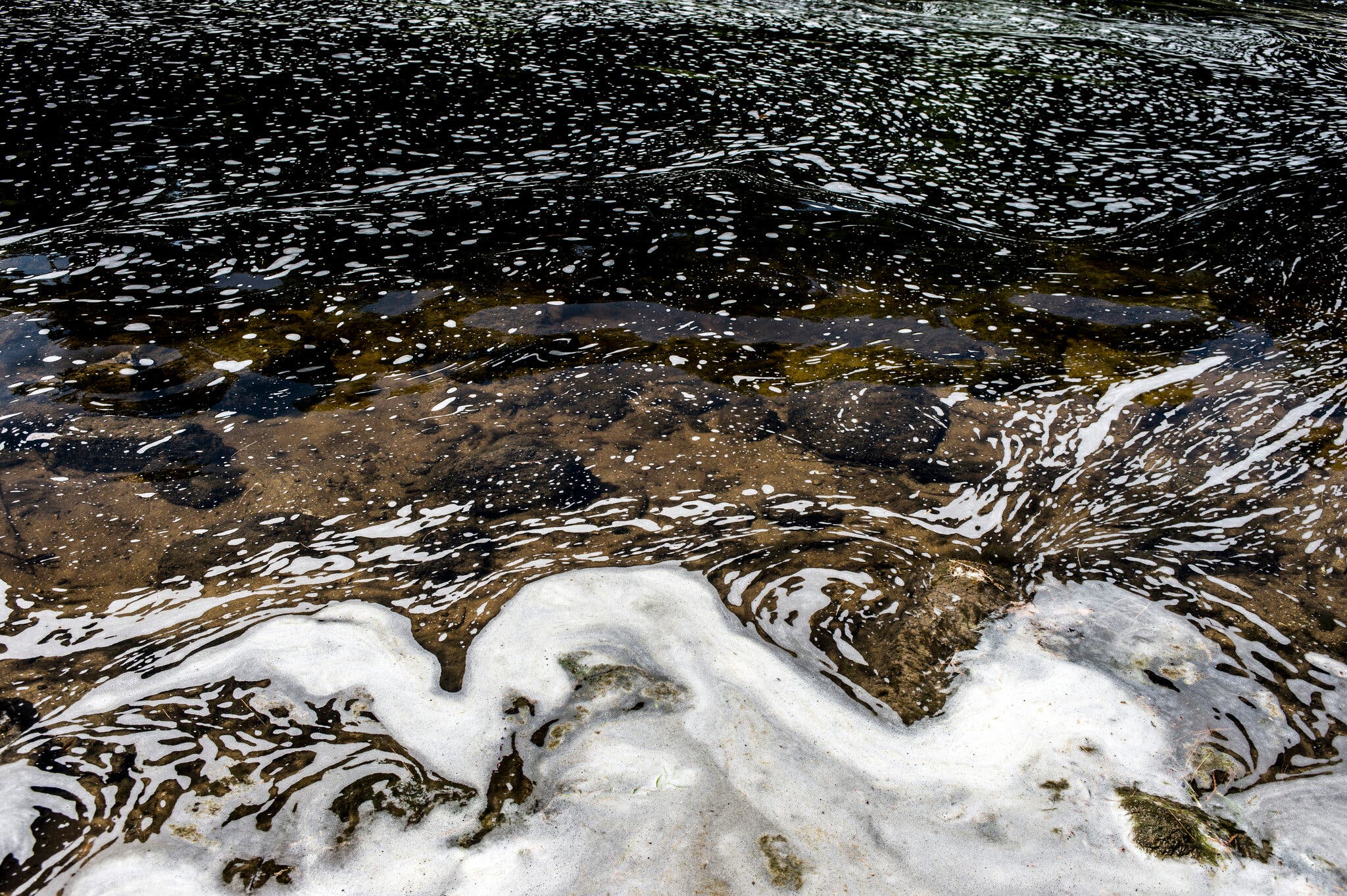 Reservoir Water In Blue Mountains Contains Excessively High Levels Of PFAS Reservoir Water In Blue Mountains Contains Excessively High Levels Of PFAS