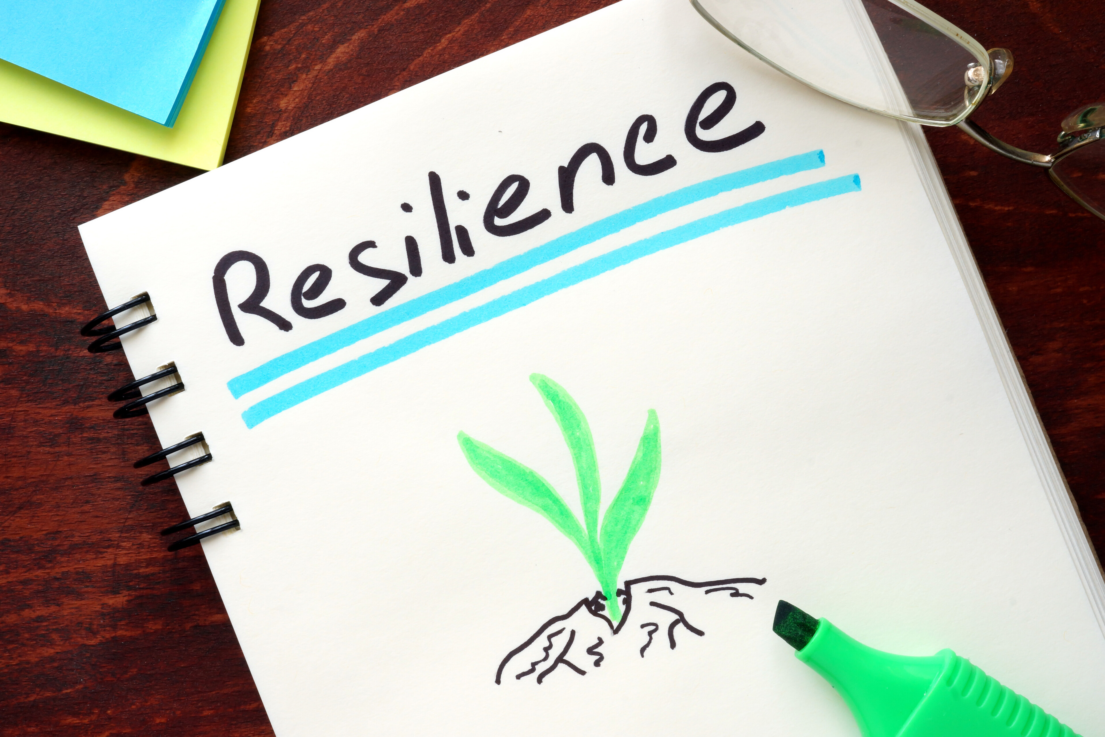 Resilience & Mental Health: Building Strength, Not Bitterness Resilience & Mental Health: Building Strength, Not Bitterness