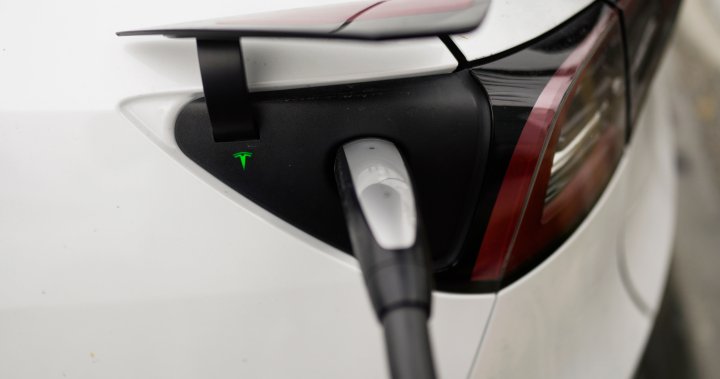 Resistance Grows: Car Dealers Challenge EV Mandate Requirements Resistance Grows: Car Dealers Challenge EV Mandate Requirements