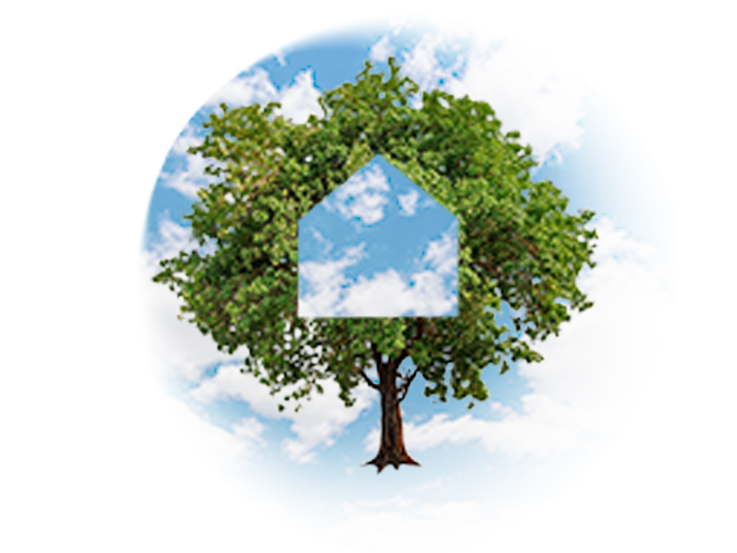 Rethinking Middle Management: Their Contribution To Company Growth Rethinking Middle Management: Their Contribution To Company Growth