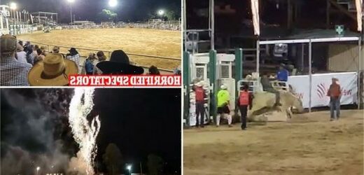 Review: The Last Rodeo – A Heartfelt Bull Riding Tale Review: The Last Rodeo – A Heartfelt Bull Riding Tale