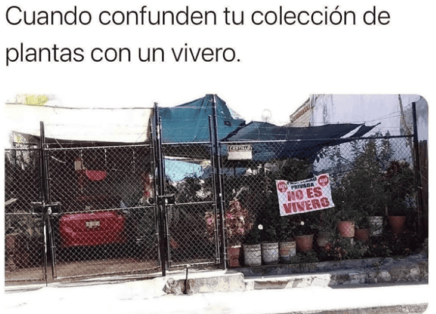 Risas Garantizadas: Los Memes De Canadá Vs México En La Liga De Naciones Concacaf Risas Garantizadas: Los Memes De Canadá Vs México En La Liga De Naciones Concacaf