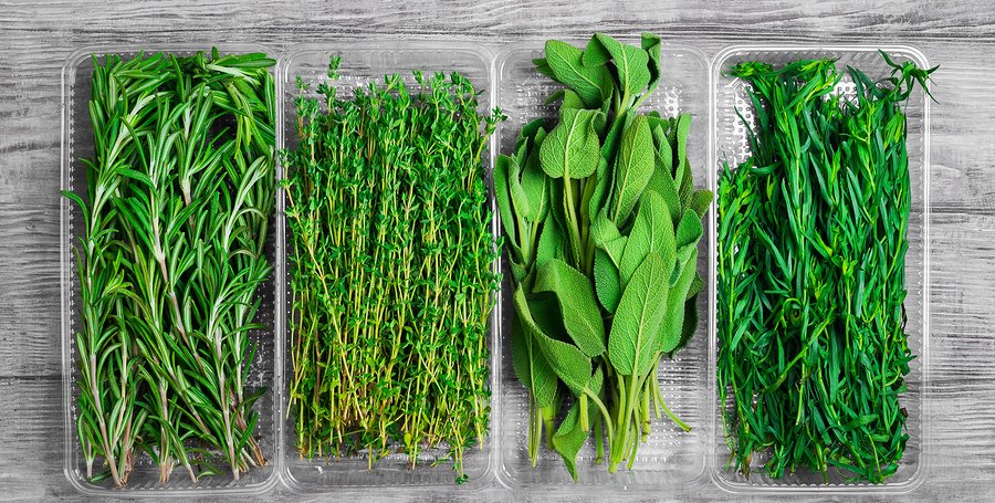 Rosemary & Thyme: Benefits And Uses Beyond The Kitchen Rosemary & Thyme: Benefits And Uses Beyond The Kitchen
