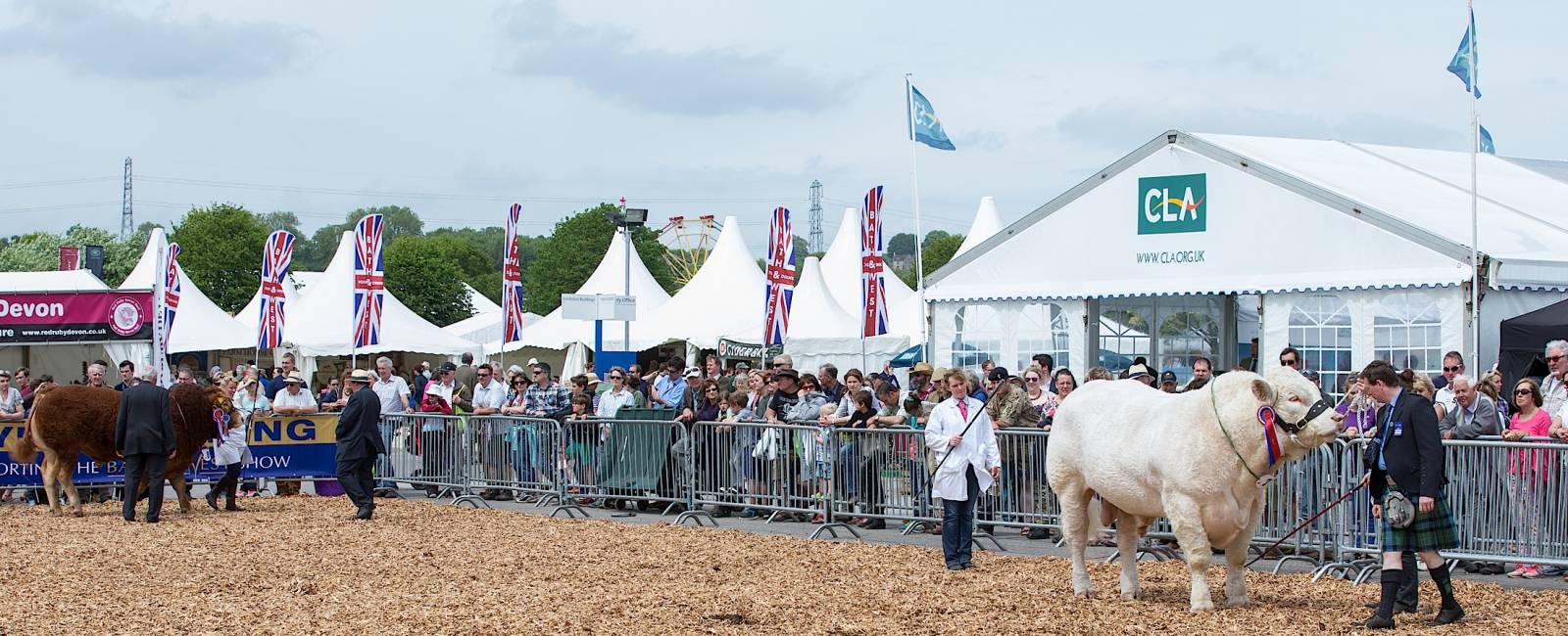 Royal Bath & West Show Half-Term: Your Guide To Show Packs & Entertainment Royal Bath & West Show Half-Term: Your Guide To Show Packs & Entertainment