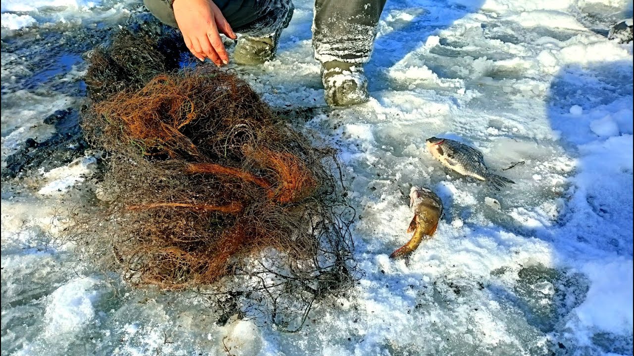 Рыбакина Продолжает Борьбу В Риме, Пройдя Во Третий Круг Рыбакина Продолжает Борьбу В Риме, Пройдя Во Третий Круг