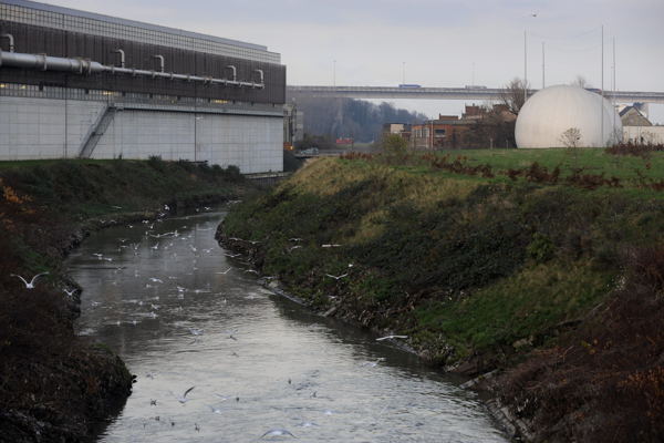 Sacramento County Wastewater Shows Presence Of Measles Virus: What You Need To Know Sacramento County Wastewater Shows Presence Of Measles Virus: What You Need To Know