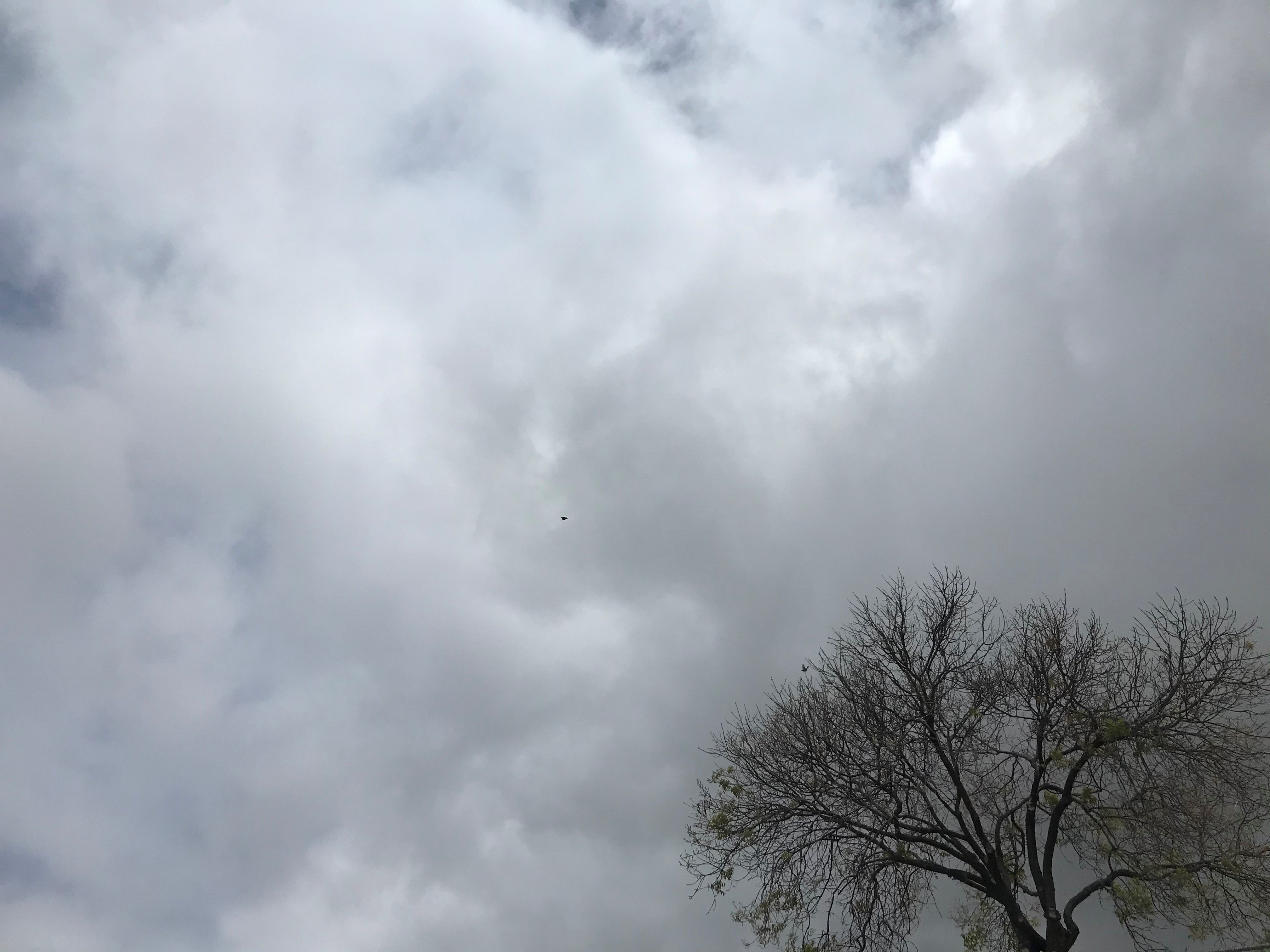 San Diego Forecast: Light Showers Possible With Fog And Cooler Weather San Diego Forecast: Light Showers Possible With Fog And Cooler Weather