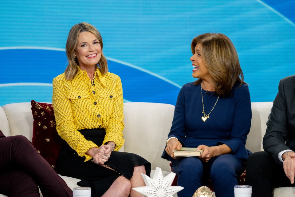 Savannah Guthrie's Mid-Week Co-Host Swap: Who Filled In? Savannah Guthrie's Mid-Week Co-Host Swap: Who Filled In?
