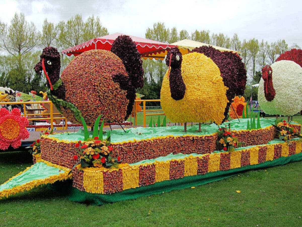 Saving Jersey Battle Of Flowers: One Man's Dedication Saving Jersey Battle Of Flowers: One Man's Dedication