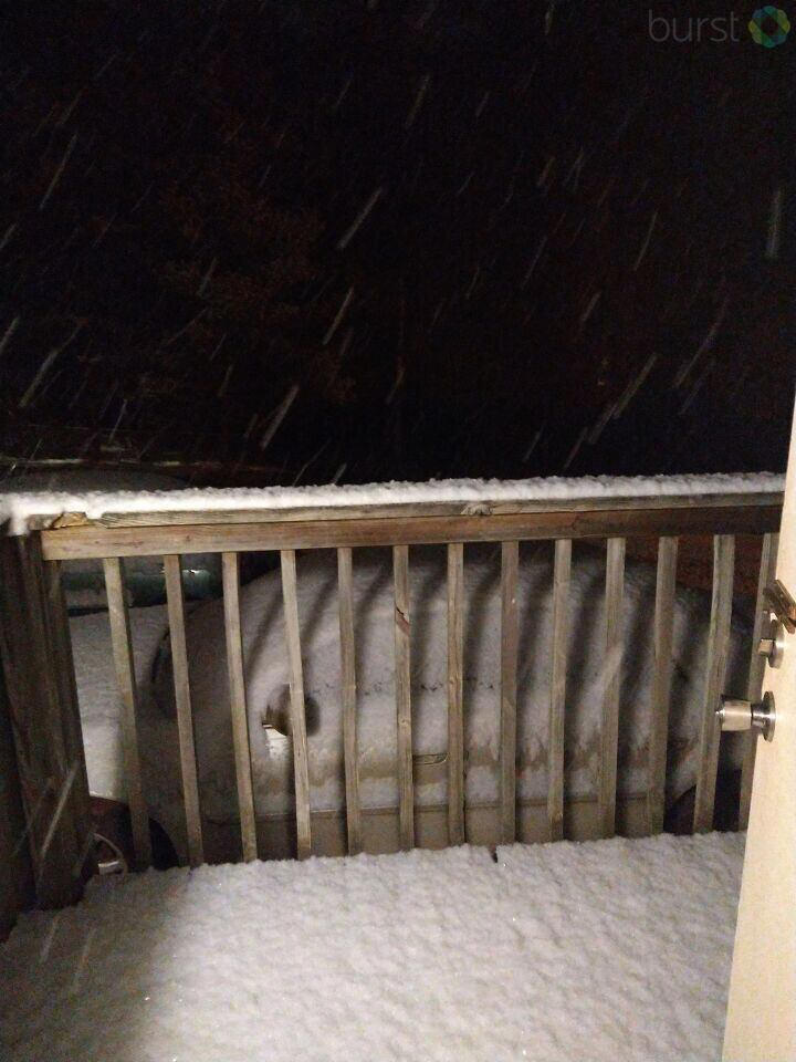Schools Closed Again: Winter Weather Impacts Continue Schools Closed Again: Winter Weather Impacts Continue