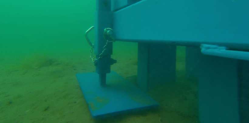 Scotland's Coastal Revival: The Promise Of Seagrass Planting Scotland's Coastal Revival: The Promise Of Seagrass Planting