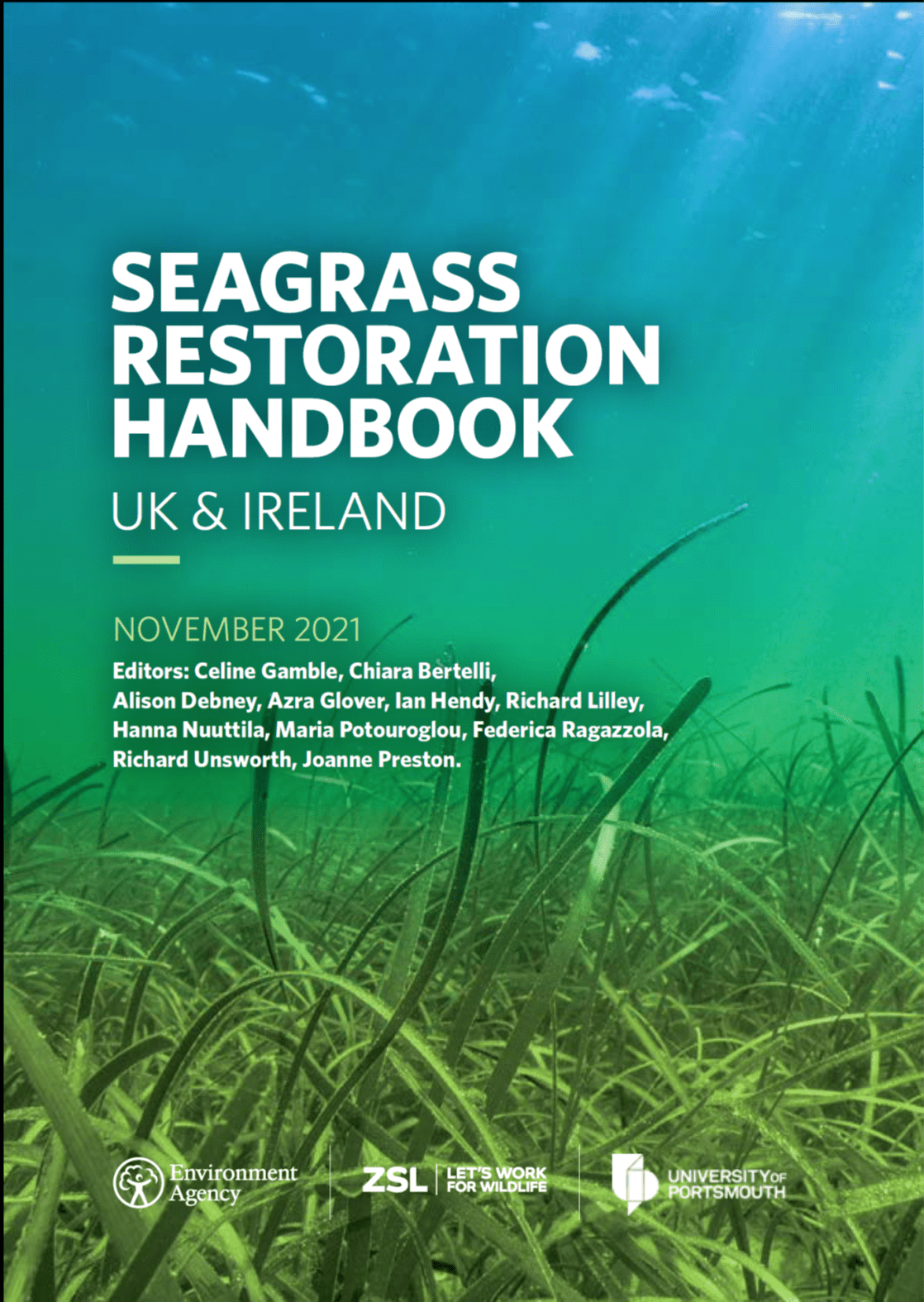 Scotland's Coastal Revival: The Promise Of Seagrass Restoration Scotland's Coastal Revival: The Promise Of Seagrass Restoration