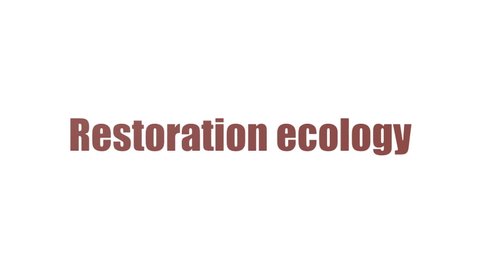 Seagrass Restoration: Reviving Scotland's Coastal Ecosystems Through Planting Seagrass Restoration: Reviving Scotland's Coastal Ecosystems Through Planting