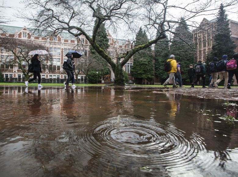 Seattle Rain: Expect Wet Conditions This Weekend Seattle Rain: Expect Wet Conditions This Weekend