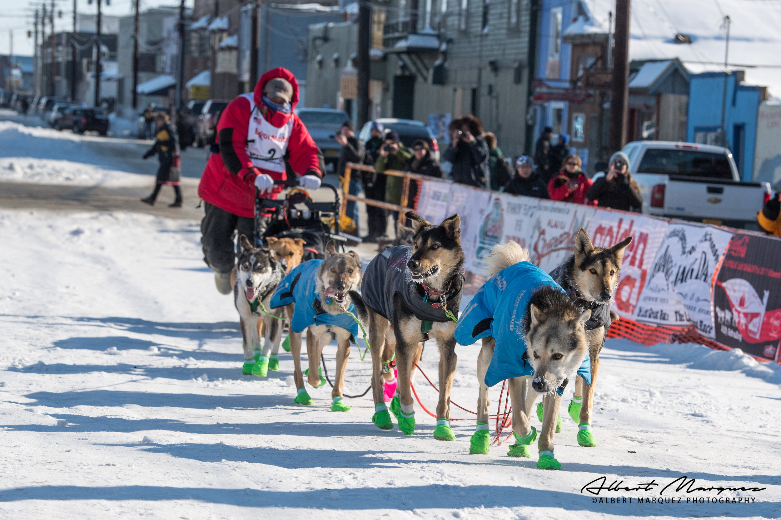 Seven Iditarod Newcomers Race To Nome: A Look At Their Journeys Seven Iditarod Newcomers Race To Nome: A Look At Their Journeys