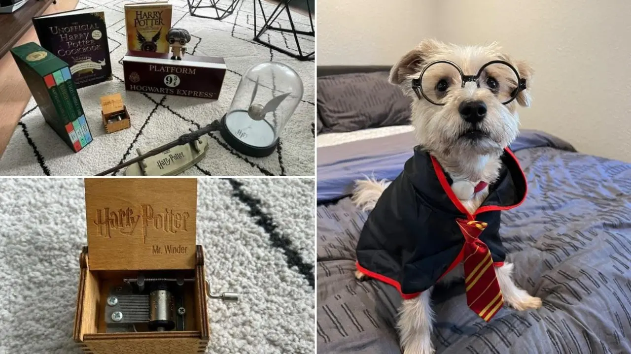 Shop Harry Potter Series Merchandise Online: Celebrate International Harry Potter Day Shop Harry Potter Series Merchandise Online: Celebrate International Harry Potter Day