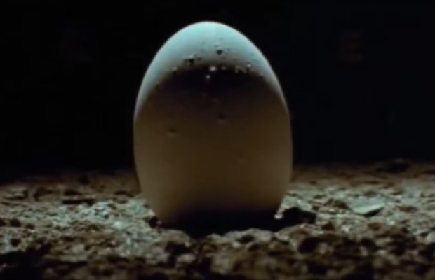 Simple Trailer, Terrifying Story: First Look At The Long Walk Simple Trailer, Terrifying Story: First Look At The Long Walk