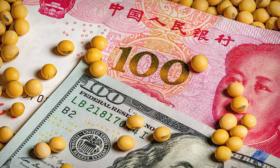 Sinograin's Imported Soybean Auction: A Response To China's Supply Issues Sinograin's Imported Soybean Auction: A Response To China's Supply Issues
