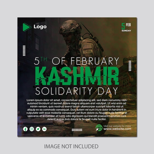 Social Media Frenzy: Kashmir Cat Owners React To Viral Videos Social Media Frenzy: Kashmir Cat Owners React To Viral Videos