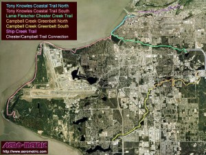 Soft Mudflats And Rising Temperatures Complicate Anchorage Fin Whale Skeleton Salvage Soft Mudflats And Rising Temperatures Complicate Anchorage Fin Whale Skeleton Salvage