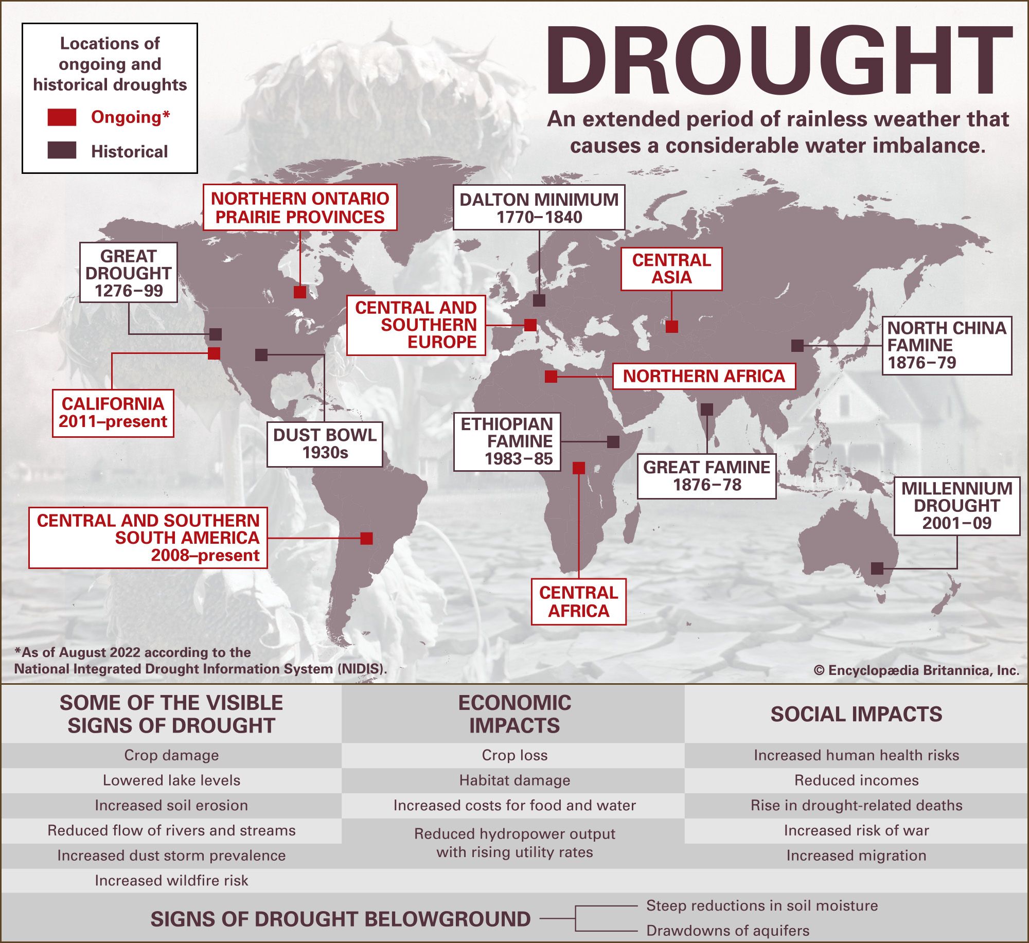 South Australia Drought: Kangaroo Impact And Farmer Support South Australia Drought: Kangaroo Impact And Farmer Support