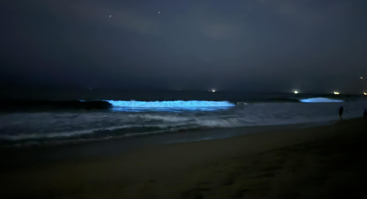 Southern California Bioluminescent Waves: Spring And Fall Viewing Guide Southern California Bioluminescent Waves: Spring And Fall Viewing Guide