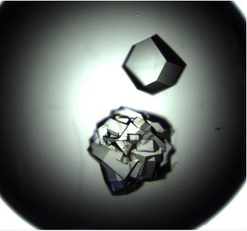 Space Crystals And Their Potential For Enhanced Pharmaceutical Production Space Crystals And Their Potential For Enhanced Pharmaceutical Production