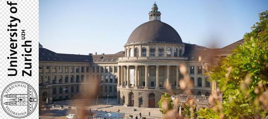 Spatial Concepts In Fine Arts: A Professorship Opportunity Spatial Concepts In Fine Arts: A Professorship Opportunity
