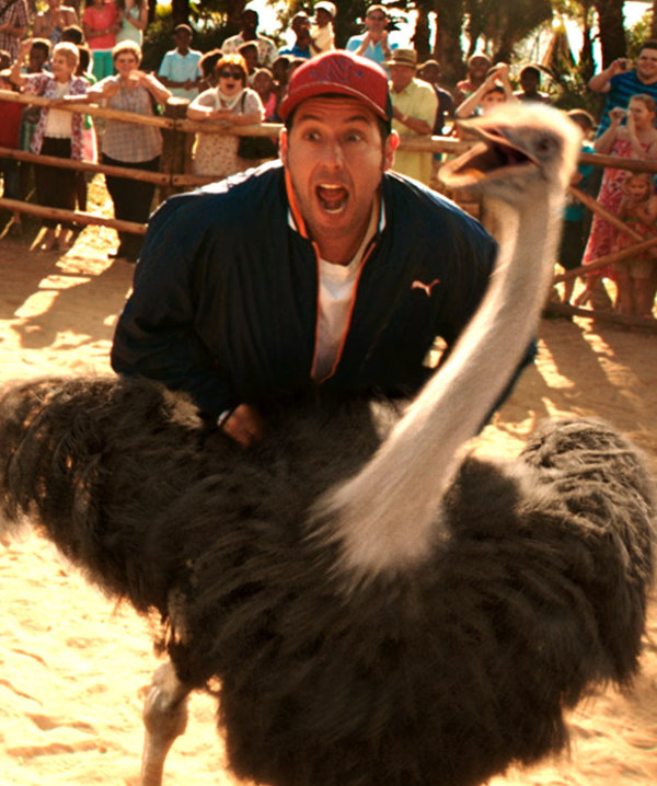 Spotting The Same Easter Egg In Multiple Adam Sandler Films Spotting The Same Easter Egg In Multiple Adam Sandler Films