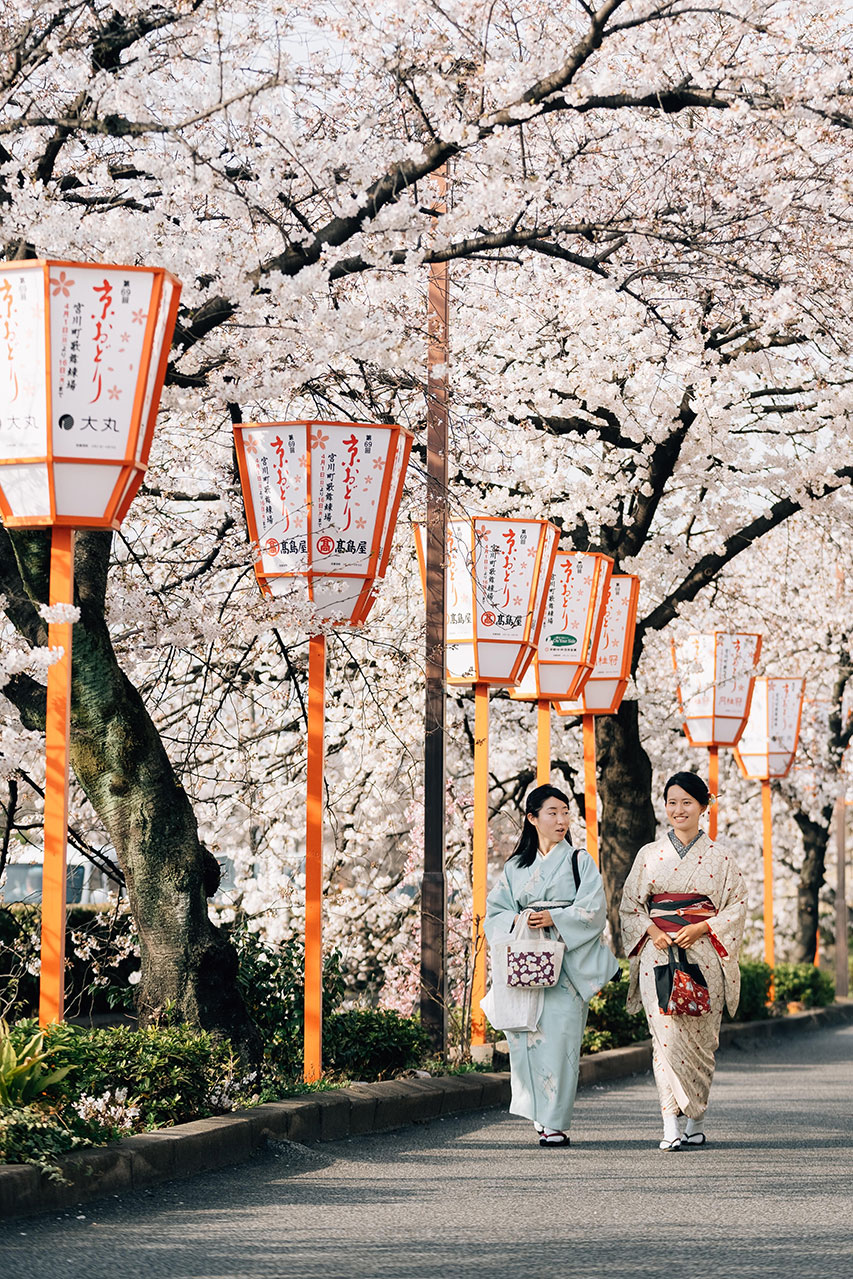 Springwatch In Japan: A Guide To Cherry Blossom Viewing Springwatch In Japan: A Guide To Cherry Blossom Viewing