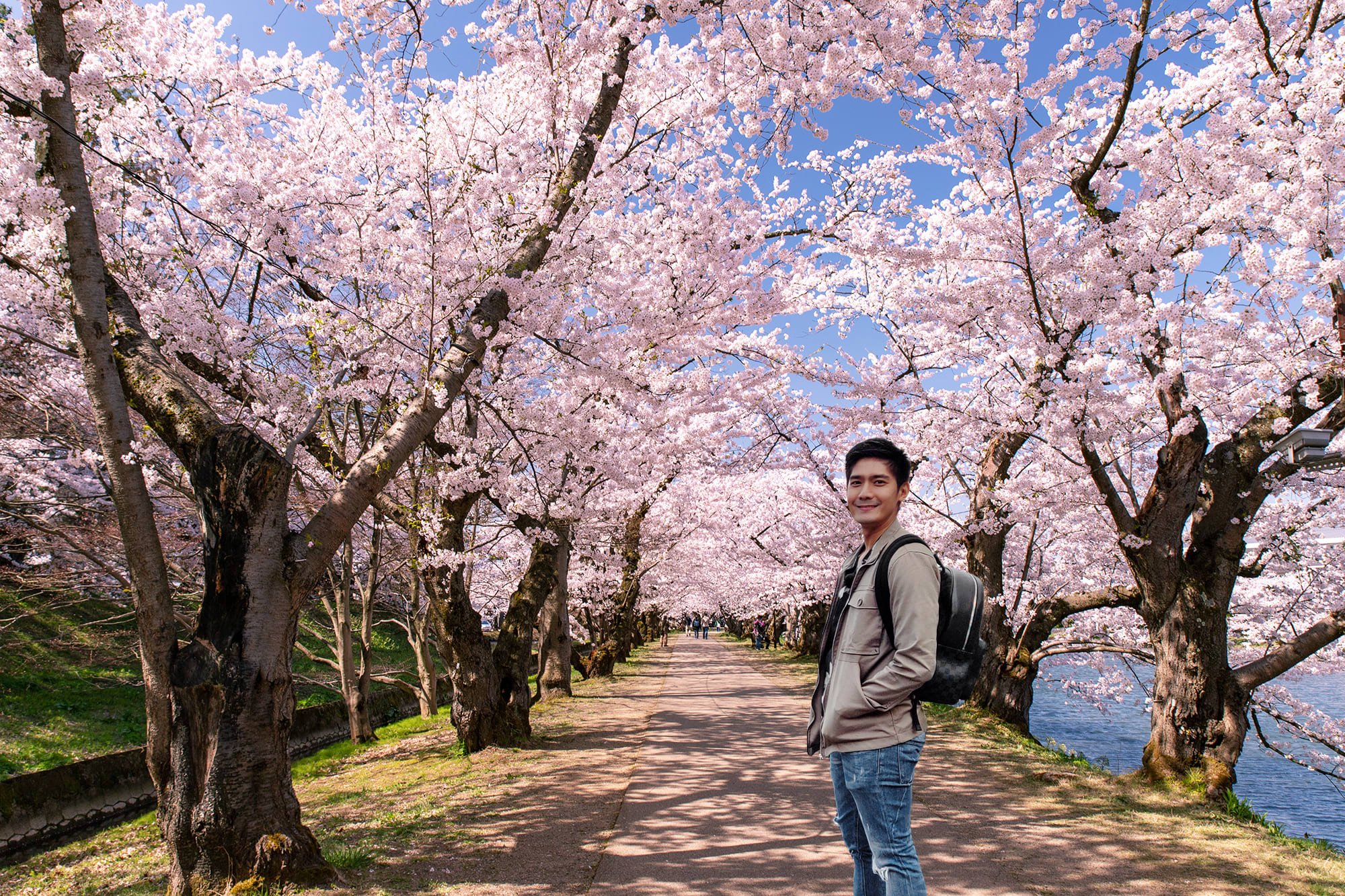 Springwatch Japan: Best Spots For Cherry Blossom Viewing Springwatch Japan: Best Spots For Cherry Blossom Viewing