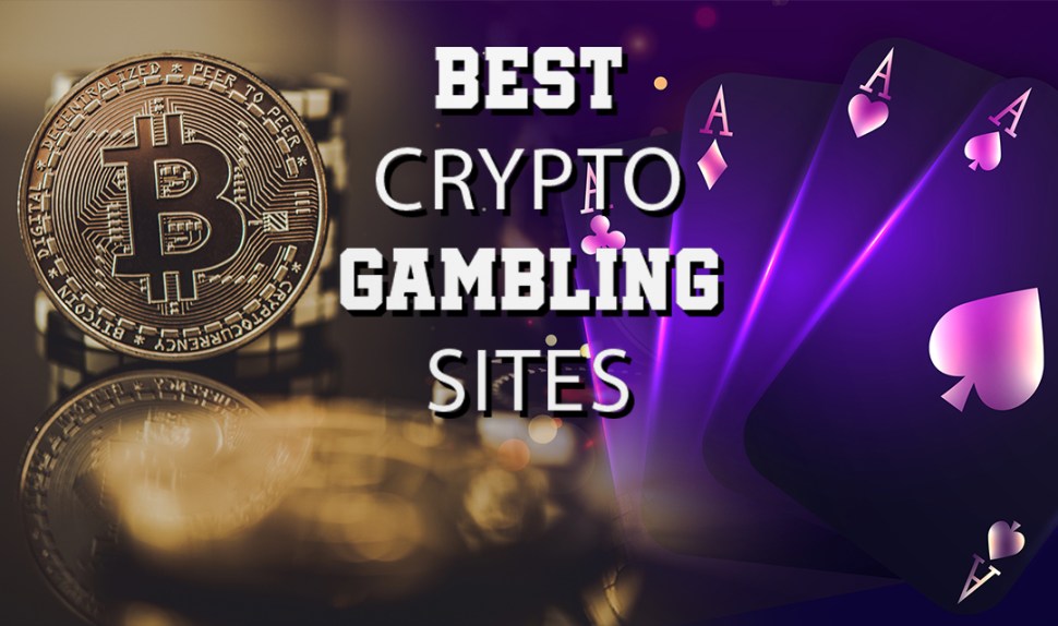Stake Casino Alternatives: Finding The Best Crypto Gambling Sites In 2025 Stake Casino Alternatives: Finding The Best Crypto Gambling Sites In 2025