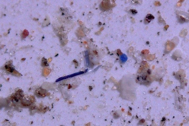 Studio Sulle Microplastiche: Acqua Di Mare, Acqua Di Rubinetto, Acqua Imbottigliata. Studio Sulle Microplastiche: Acqua Di Mare, Acqua Di Rubinetto, Acqua Imbottigliata.