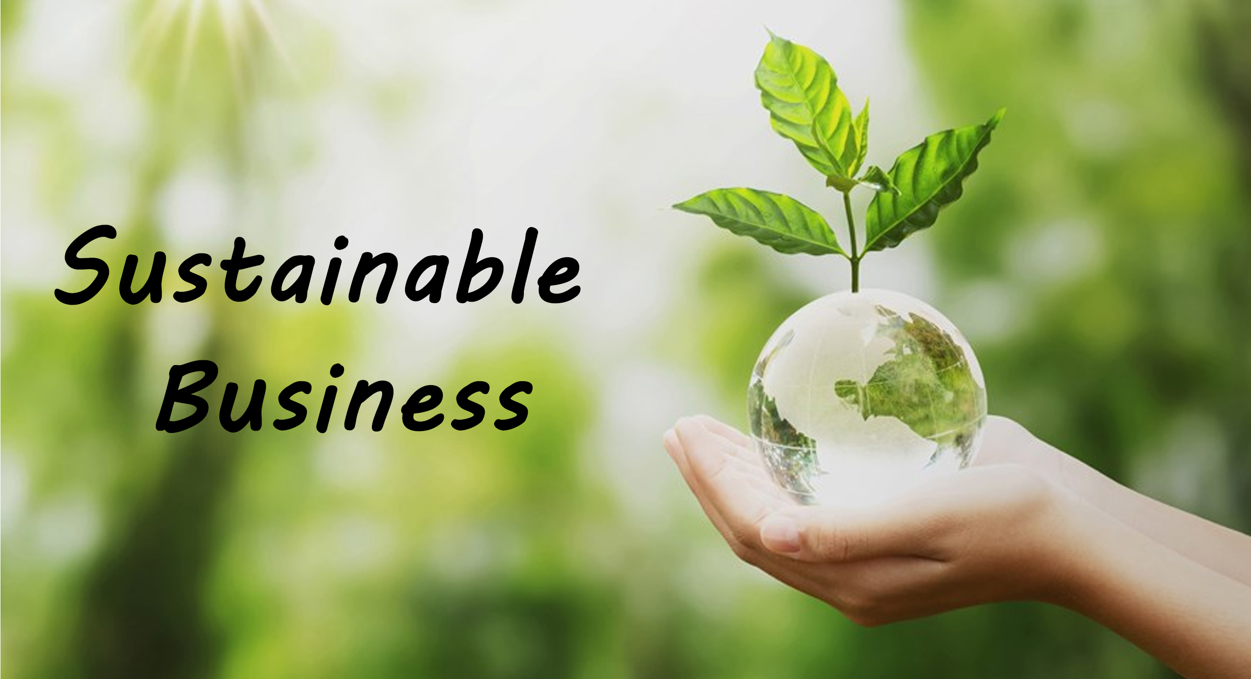 Sustainable Business Funding: A Guide For SMEs Sustainable Business Funding: A Guide For SMEs