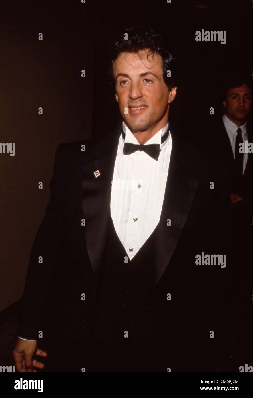 Sylvester Stallone Regrette-t-il Ce Film Culte Des Années 80 ? Sylvester Stallone Regrette-t-il Ce Film Culte Des Années 80 ?
