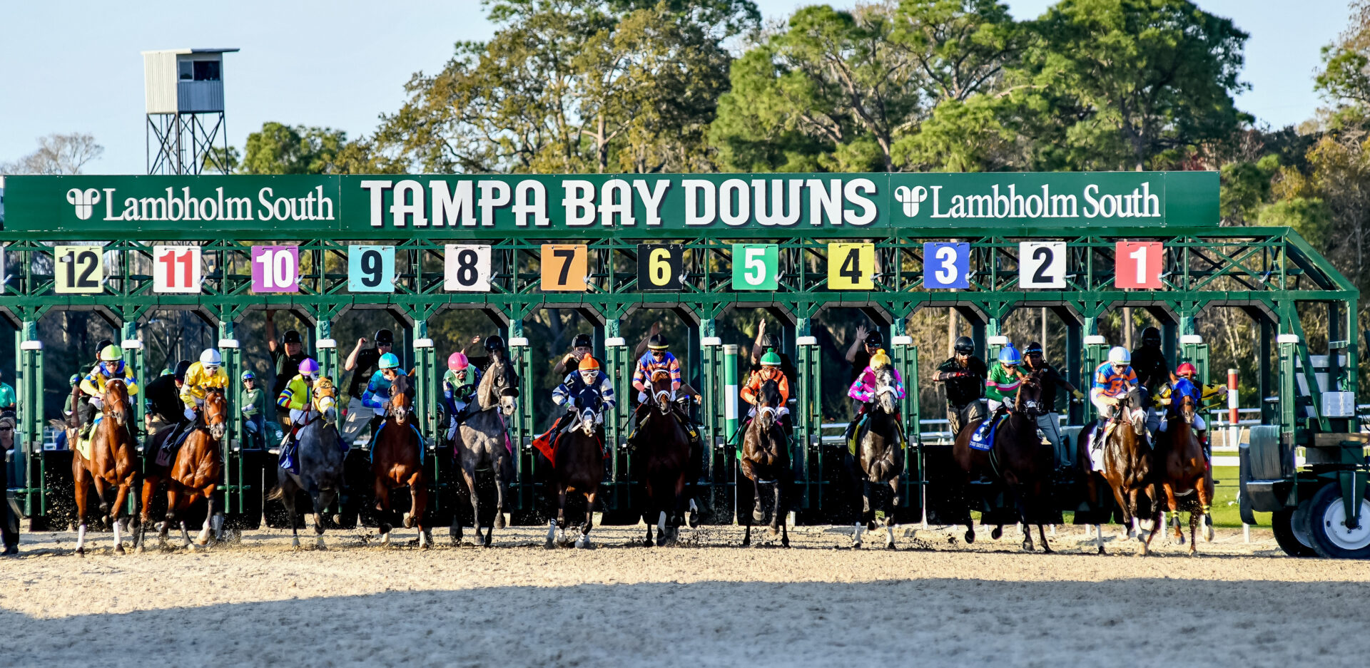 Tampa Bay Derby Odds 2025: Analyzing The Field And Predicting The Winner Tampa Bay Derby Odds 2025: Analyzing The Field And Predicting The Winner