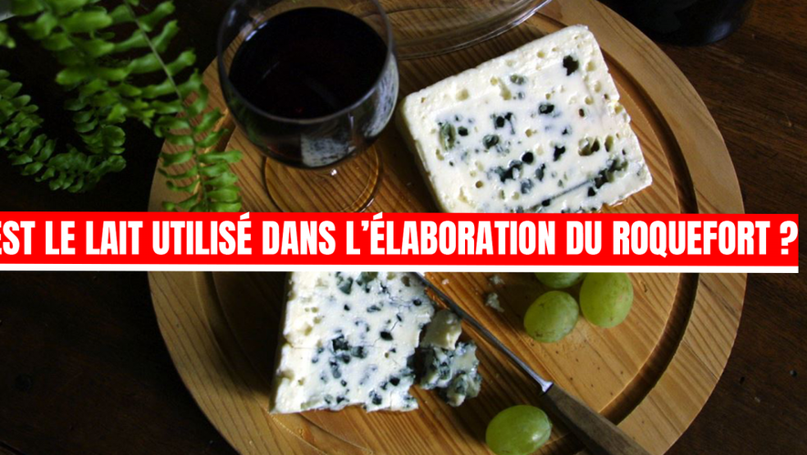 Testez Vos Connaissances Sur La Loire-Atlantique : Quiz Histoire, Gastronomie Et Culture Testez Vos Connaissances Sur La Loire-Atlantique : Quiz Histoire, Gastronomie Et Culture