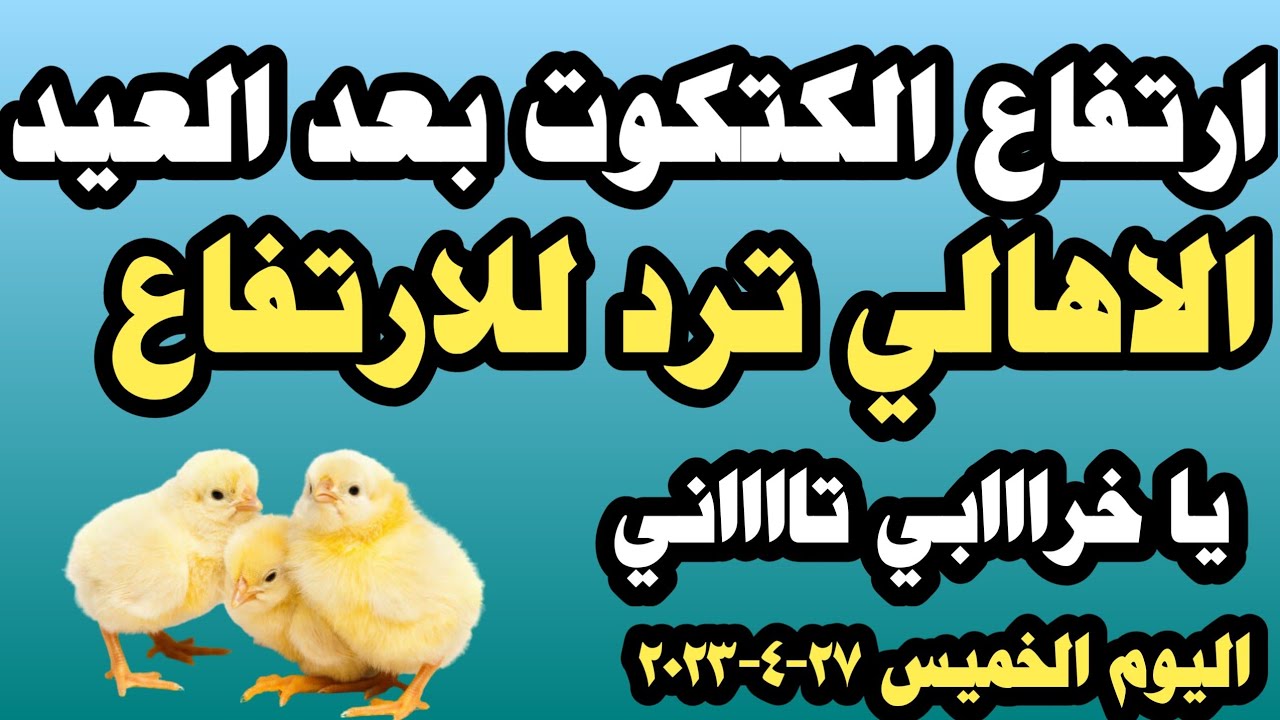 تحديث أسعار الكتاكيت اليوم الاثنين 14-4-2025 بمصر تحديث أسعار الكتاكيت اليوم الاثنين 14-4-2025 بمصر