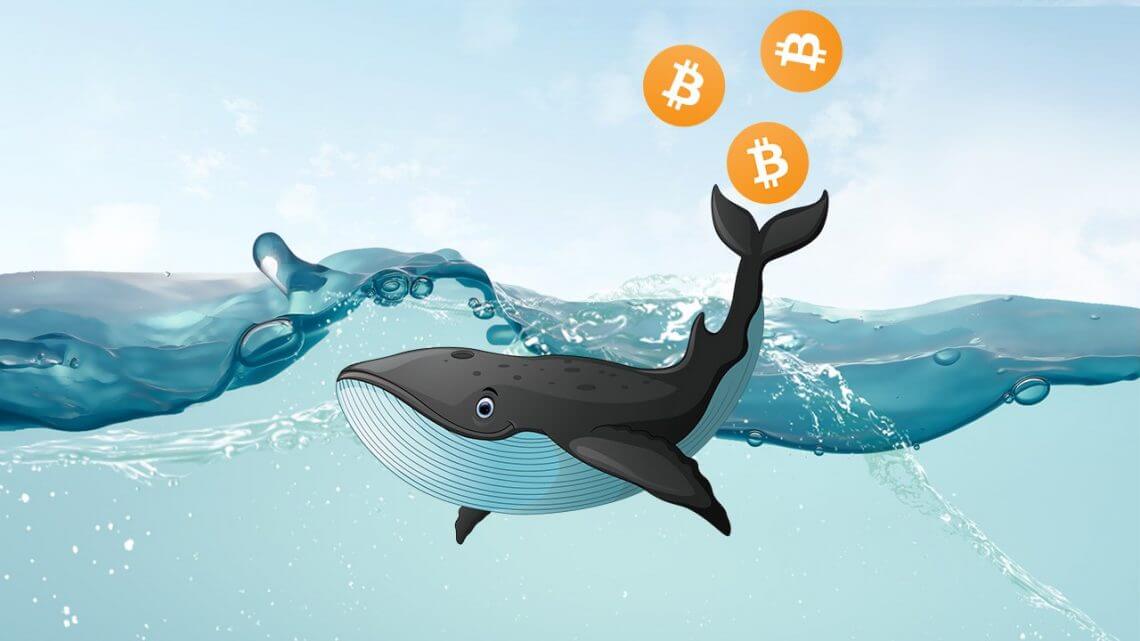 The Bitcoin Rebound: What Investors Need To Know The Bitcoin Rebound: What Investors Need To Know