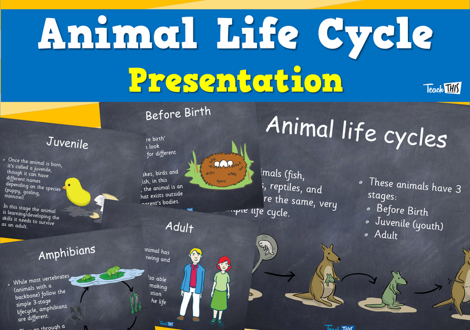 The Educational Value Of Campus Farms: Observing Animal Life Cycles The Educational Value Of Campus Farms: Observing Animal Life Cycles