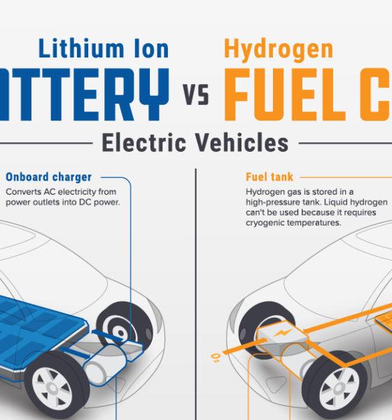 The Future Of European Public Transit: Hydrogen Vs. Battery Buses The Future Of European Public Transit: Hydrogen Vs. Battery Buses