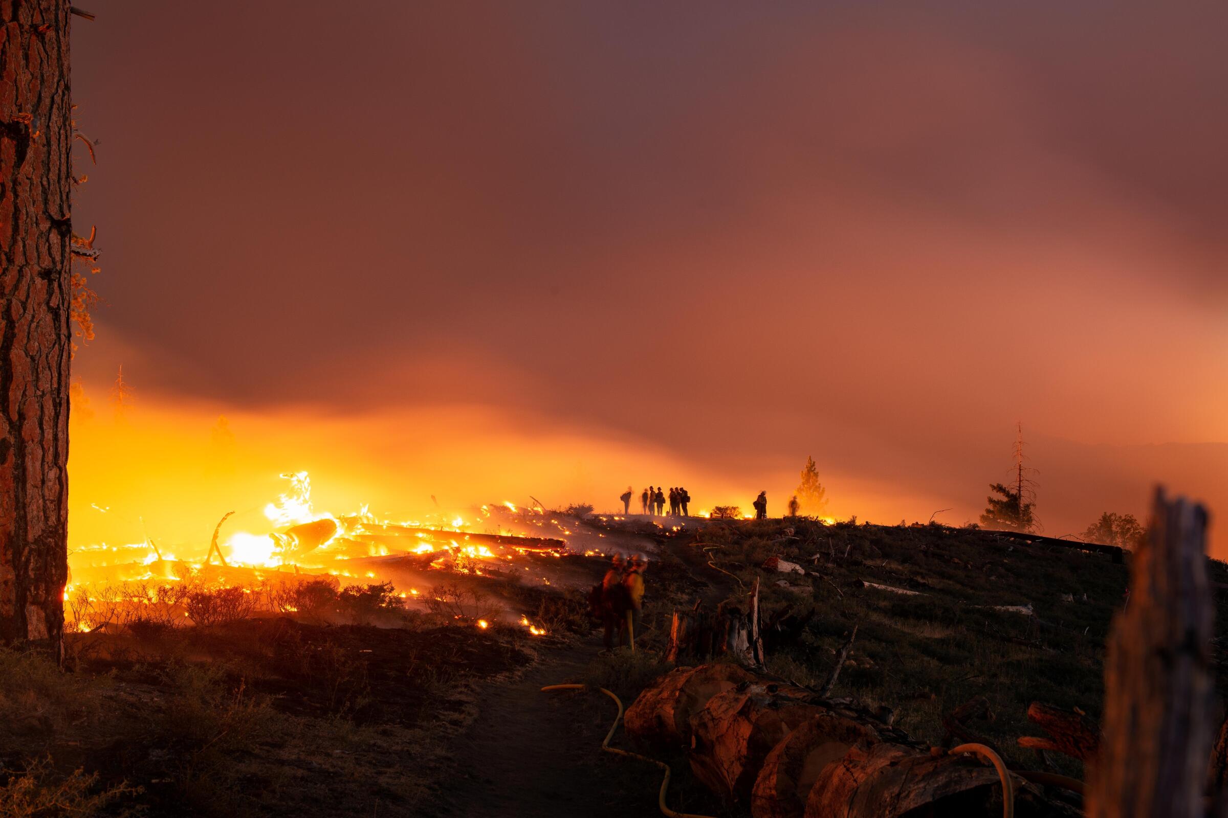 The Growing Trend Of Betting On Wildfires: The Los Angeles Case Study The Growing Trend Of Betting On Wildfires: The Los Angeles Case Study