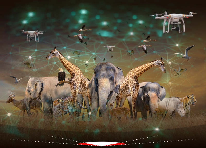 The Impact Of Artificial Intelligence On Wildlife Conservation Efforts The Impact Of Artificial Intelligence On Wildlife Conservation Efforts
