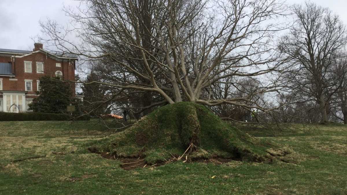 The Impact Of Delayed Storm Damage Assessments In Kentucky